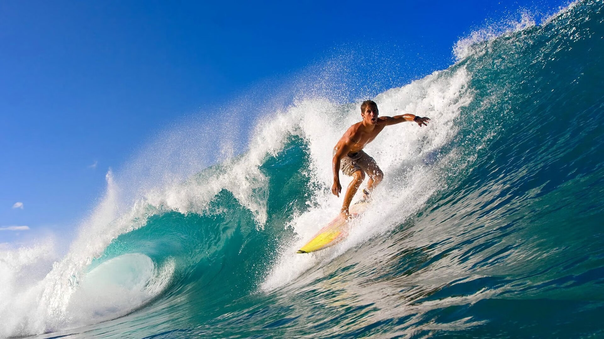 阿根廷与沙特阿拉伯在AlUla签署战略合作协议，共同推动马术运动发展。